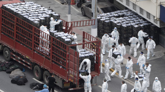 Workers in PPE unload groceries to distribute to residents under lockdown in Shanghai on Tuesday.
