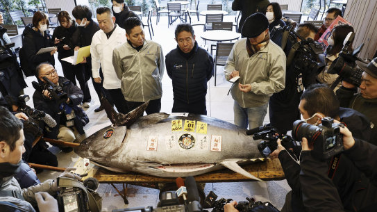 A bluefin tuna which fetched at 207 million yen (US$1,315,485) at the first auction of the year, is displayed at Toyosu Market in Tokyo Sunday, Jan. 5, 2025. 