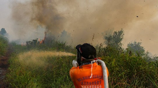 Firefighters work to extinguish brush fires in Kampar, Riau province, Indonesia, on Wednesday.