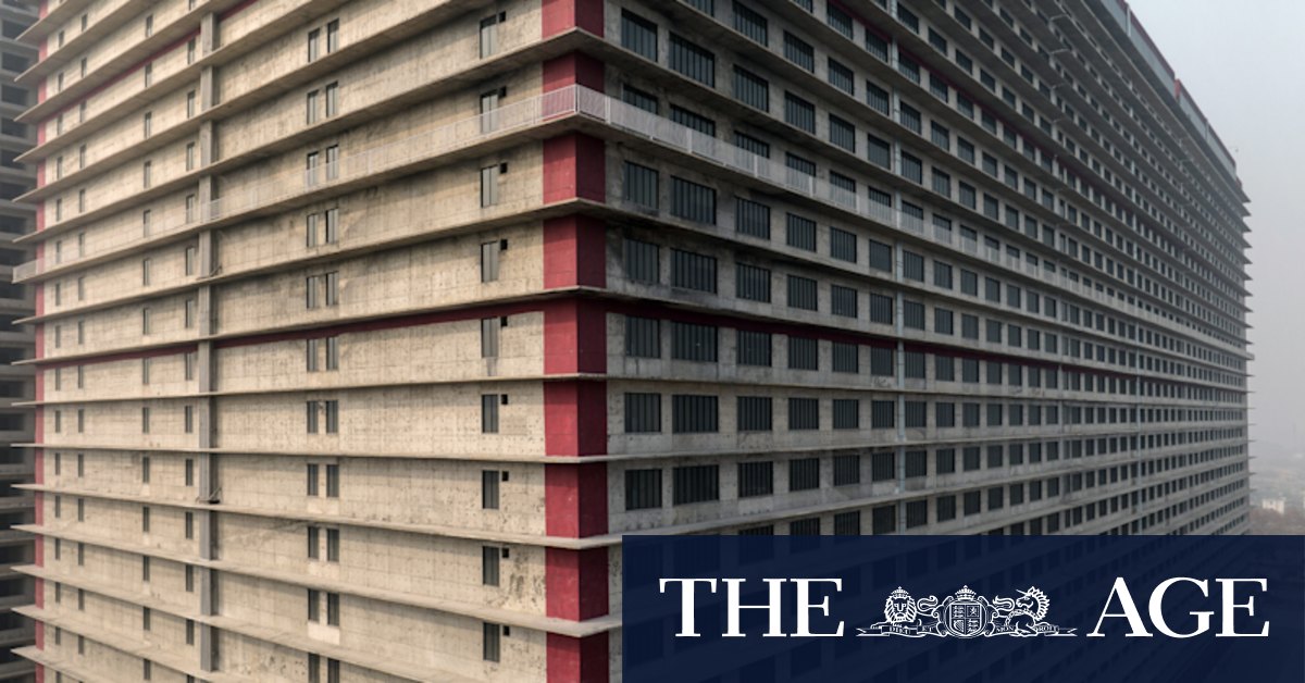 China's great food solution? Giant towers full of pigs - Vimarsana News