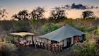 Ngala Tented Camp 