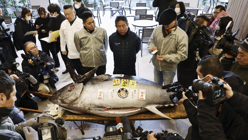Tuna weighing as much as a grizzly bear sells for $2.1 million in Japan
