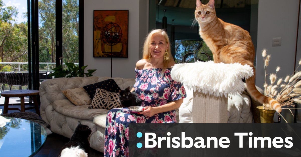 Hornsby Shire Council labelled cruel as debate over cats intensifies - Vimarsana News