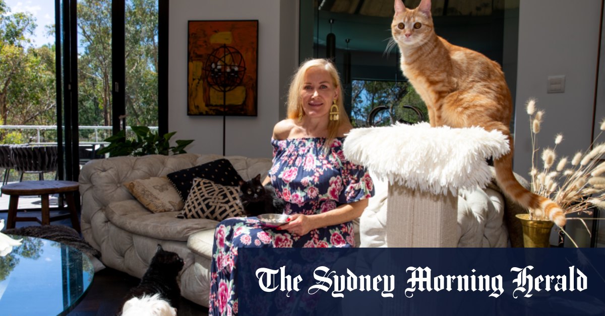 Hornsby Shire Council labelled cruel as debate over cats intensifies - Vimarsana News