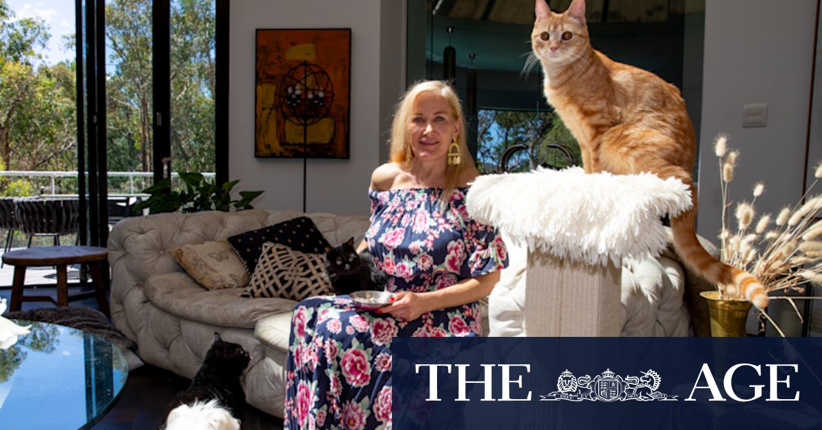 Hornsby Shire Council labelled cruel as debate over cats intensifies - Vimarsana News