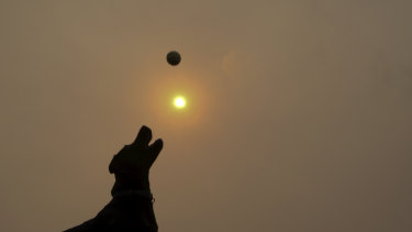 Dogs were coping with thick haze along with their owners at Rodney Reserve, Sydney, on Friday.