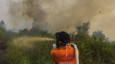 Firefighters work to extinguish brush fires in Kampar, Riau province, Indonesia, on Wednesday.