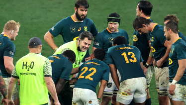 Direktur rugby Erasmus menjalankan air untuk Springboks selama seri Lions