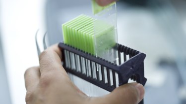 Sonic managing director Colin Goldschmidt received total remuneration of $4.4 million this year, down from $6.2 million last year