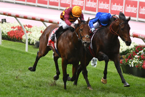Anamoe (right) is beaten in a controversial Cox Plate by State of Rest.