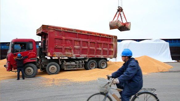 A man cycles past as workers load soybeans imported from Brazil at a port in Nantong in east China's Jiangsu province. Brazil’s share of China’s soybean imports has soared.