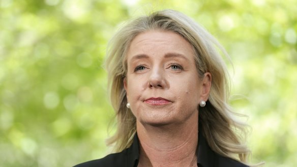 A Senate inquiry will investigate a sports grants program administered by former minister Bridget McKenzie.