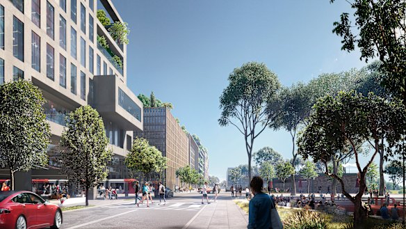 The entire Parramatta/Westmead area will receive increased infrastructure in anticipation of a sharp population increase.