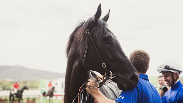 Pin Sec: a champion.