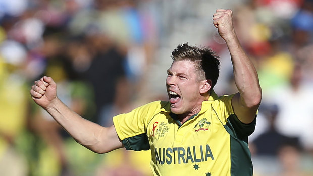 One love: A tweet from James Faulkner gave the impression he was in a same-sex relationship. 