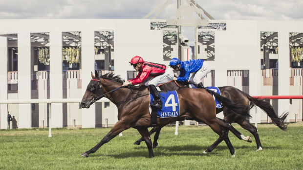 Winning horse Final Award and jockey Josh Parr win the Canberra Guineas race.