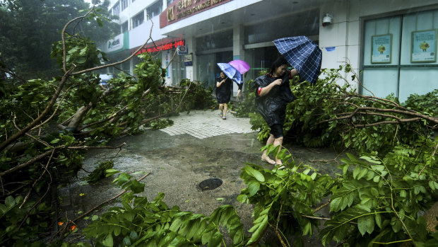 Women holding umbrellas walk by fallen tree branches caused by typhoon Mangkhut in Nanshan District in Shenzhen, south China's Guangdong Province.