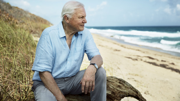 Sir David Attenborough in filming for Blue Planet II. 