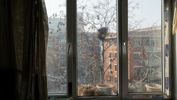 The view through a window in Han's apartment. 