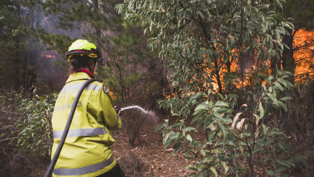 An ACT Parks firefighter attacking the blaze at Pierces Creek.
