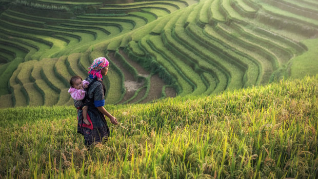 A Hmong mother carries her child while working at rice terraces in Mu Cang Chai.