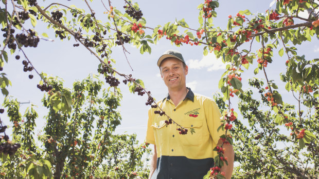 Cherry Growers Australia president and owner of Fairfields Orchard Tom Eastlake.
