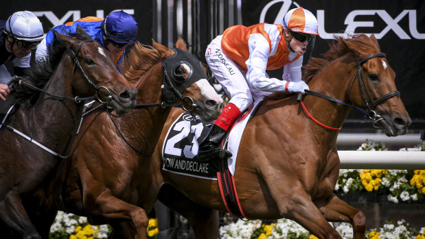 Melbourne Cup winner Vow And Declare passes the finish post.