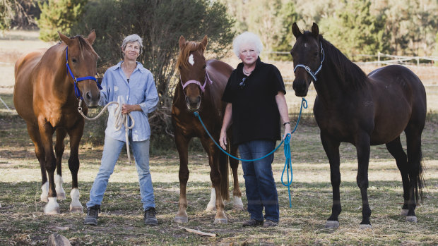 The ACT Equestrian Association is concerned that household delivery drones could threaten the future of the recreation in Canberra.
From left, Secretary of the ACT Endurance Riders Association Mazine McArthur, and The ACT Equestrian Association president Christine Lawrence.
