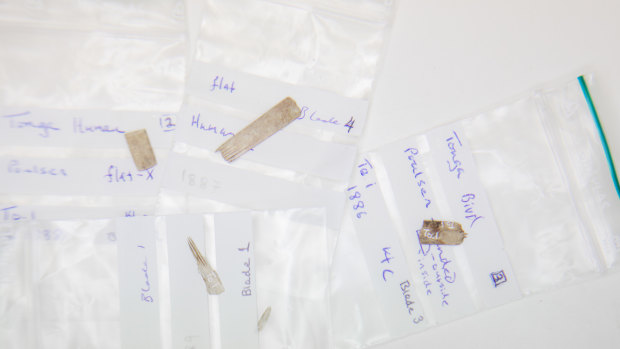 Some of the tiny implements found in Tanga by Australian National University archaeologists.
