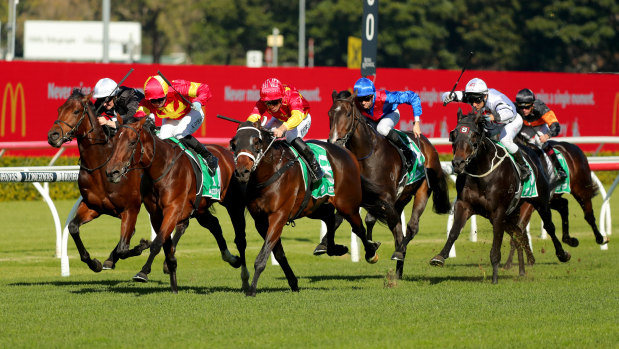 Racing returns to the Kensington track on Wednesday.