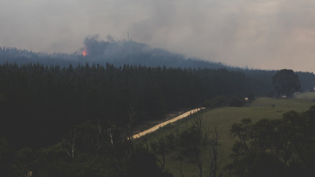 The fire at Pierces Creek, near Canberra. 