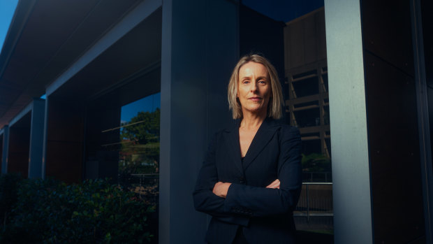 Greens MP Sue Higginson
