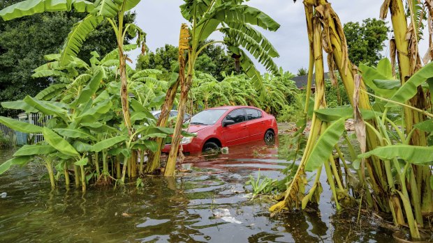A car is surrounded by water in New Orleans after a 100-year storm, caused by a tropical wave system in the Gulf of Mexico, battered the city.