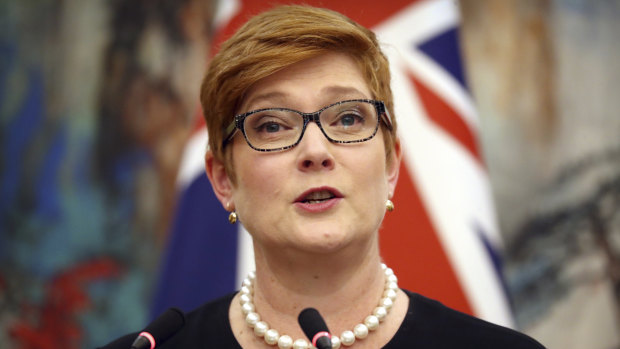 Marise Payne in her joint press conference this week with Chinese Foreign Minister Wang Yi.