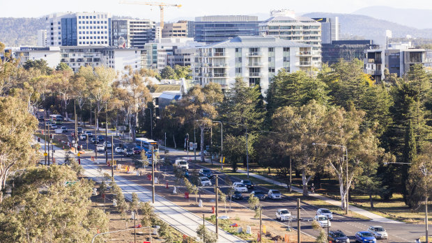 Northbourne Avenue is set to be transformed in the coming years on the back of the light rail project.