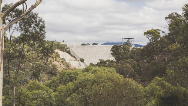 The Cotter Dam viewed from outside the catchment area.