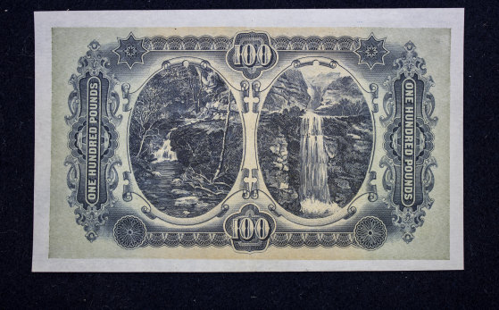 The waterfall images on the reverse of the banknote.
