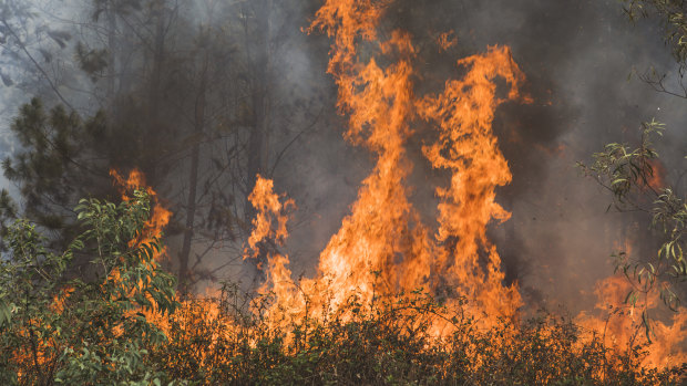 An out of control bushfire burnt at Pierces Creek in November 2018. 