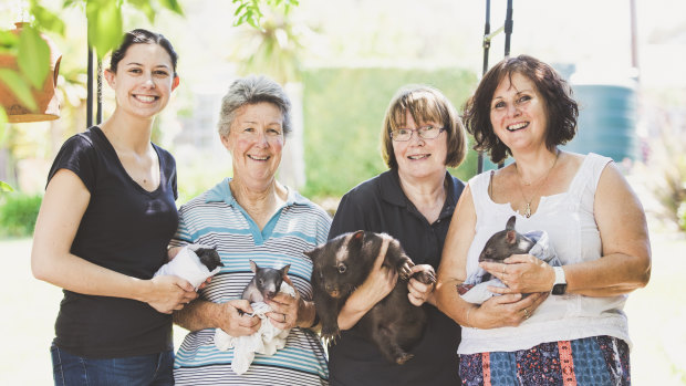 From left: ACT Wildlife carers  Caroline Hennessy, Marg Peachey, Joan McKay and Lindy Butcher.