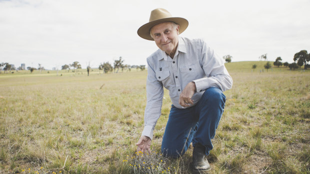President of Friends of Grasslands Geoff Robertson, at the Mulanggari grasslands in Gungahlin, would like to see more people involved in conserving Australia's native grasslands.