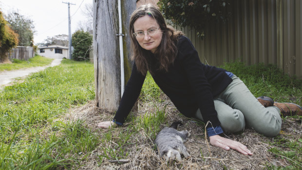 Macgregor resident Caroline Wenger with a dead possum she found near her home.