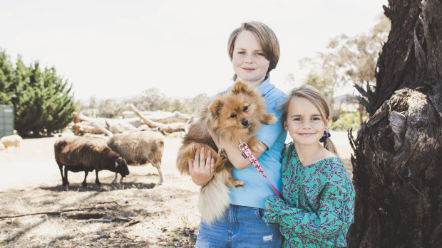 Pomeranian Trixie, who was rushed to the vet by owner Briony Windsor after being bitten by a snake. Pictured with Ms Windsor's children 11-year-old Luka and Lydia, 7. 