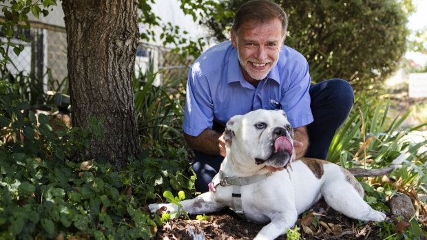 RSPCA Canberra shelter manager Simon Yates, and Stubbs the 8-year-old Australian bulldog. Dogs like bulldogs are more susceptible to heat stress.