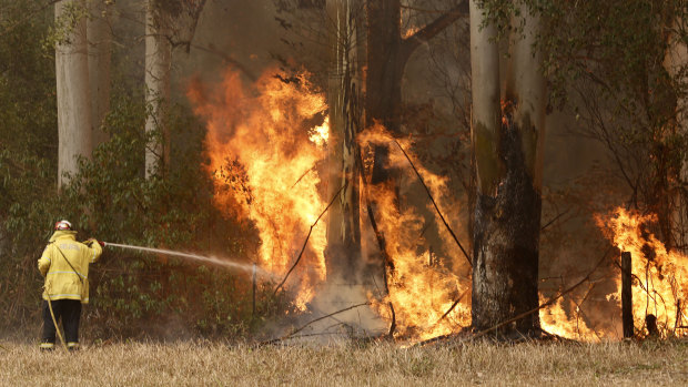 A fire crew member battles a blaze at Hillville, south of Taree, where schools will remain closed on Wednesday.