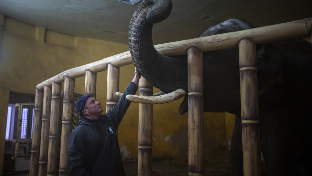 Animal keeper Kirilo Trantin comforts an elephant at the Kyiv Zoo on Tuesday.