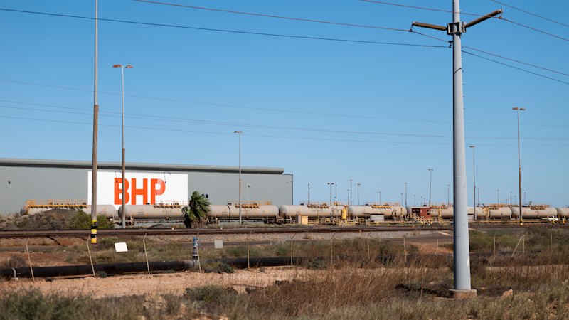 WA news LIVE: More BHP workers vote to down tools after Pilbara port strike