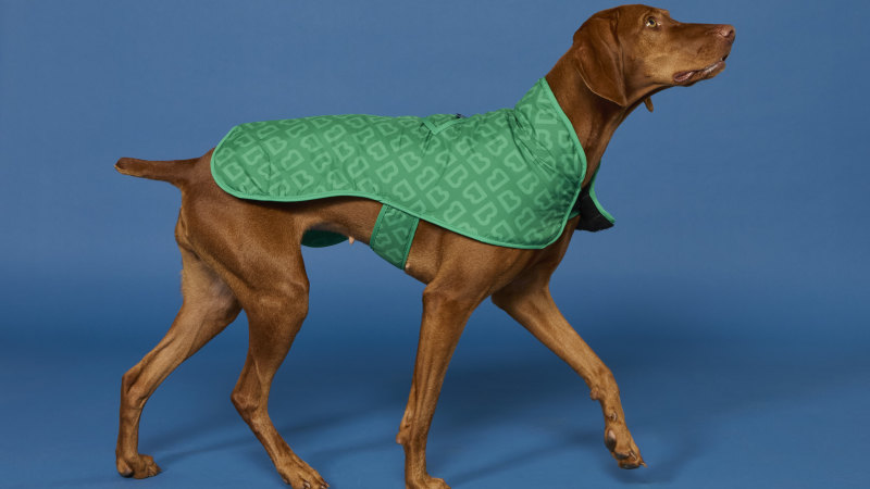 This week’s pick of luxuries: a beast of a barbecue and canine couture