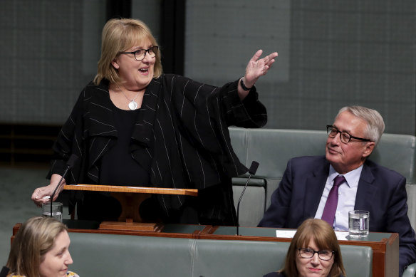 Labor MP Jenny Macklin delivers her valedictory speech in 2019.