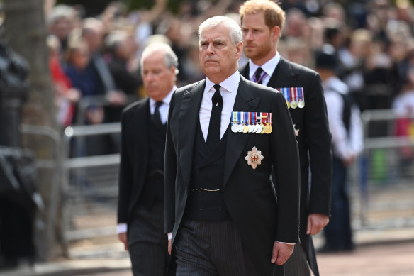 Prince Andrew, Duke of York, and Prince Harry, Duke of Sussex, marched in morning suits behind the coffin with their service medals on display. 