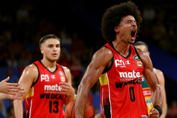 The Perth Wildcats could be sold.